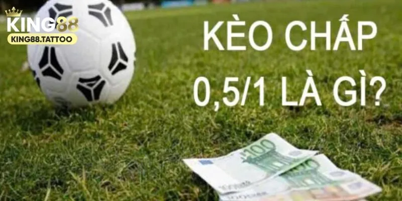 Kèo 0.5/1 Là Như Nào - Giải Đáp Chi Tiết Dành Cho Tân Thủ